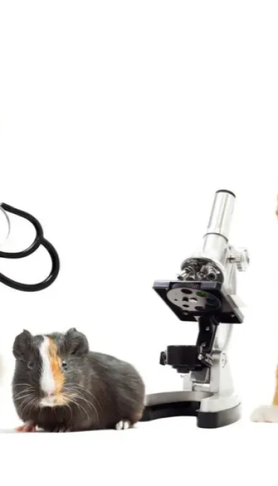 Adsız tasarım - 2025-12-08T145055.589