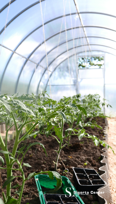 Adsız tasarım - 2025-12-08T153409.991